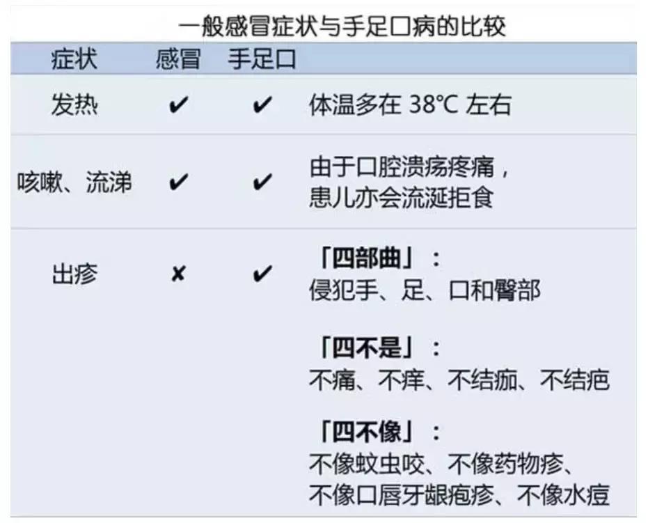 幼儿手足口病怎么传染的动画解说,手足口病儿童动画视频