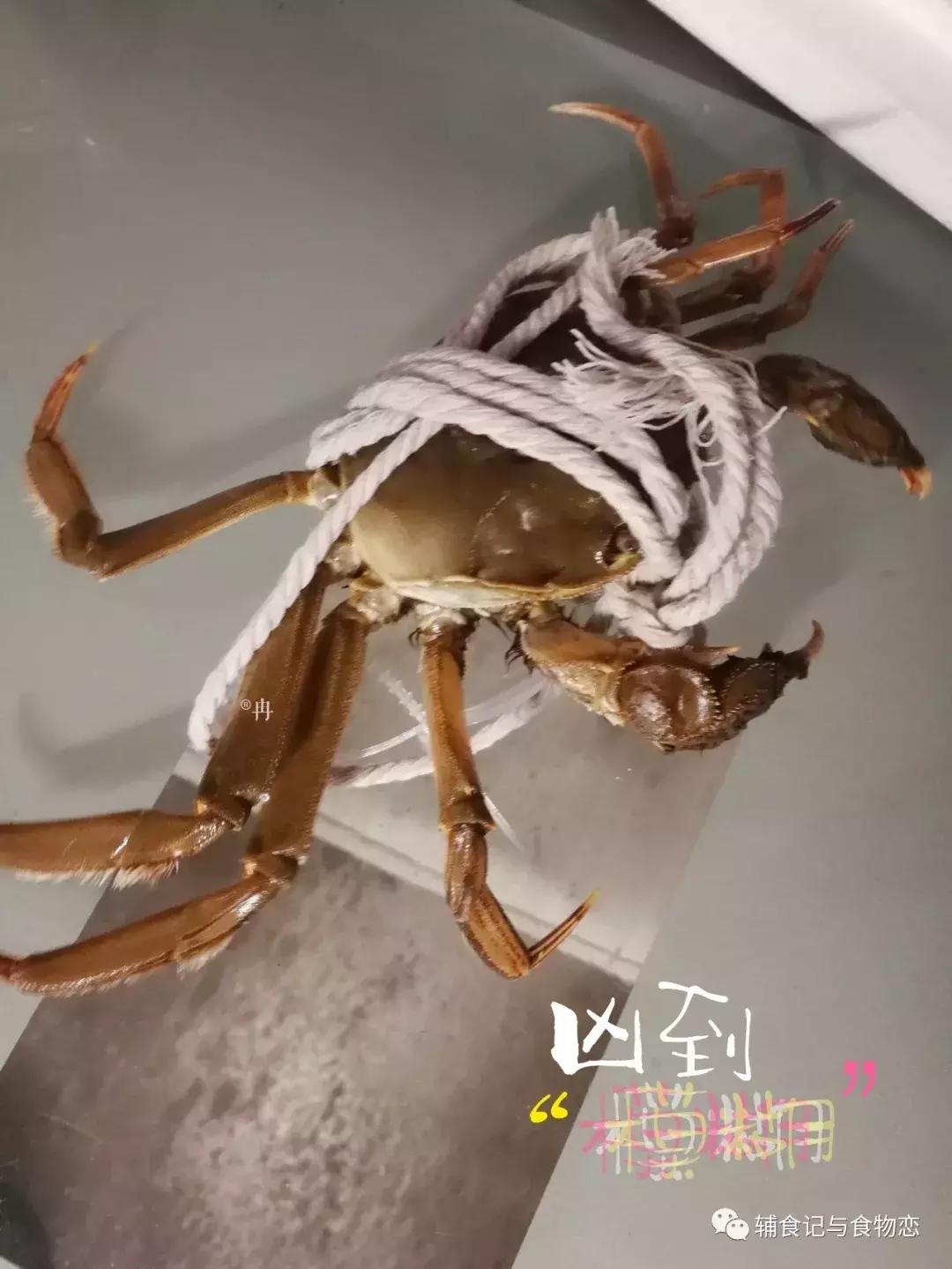 孕妇吃完大闸蟹能不能吃圣女果,孕妇可以吃大闸蟹吗只吃一个