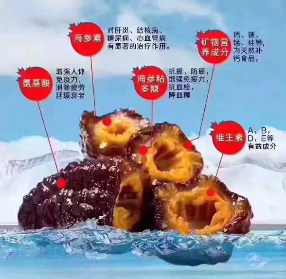 上海costco海参冬虫夏草,costco直邮