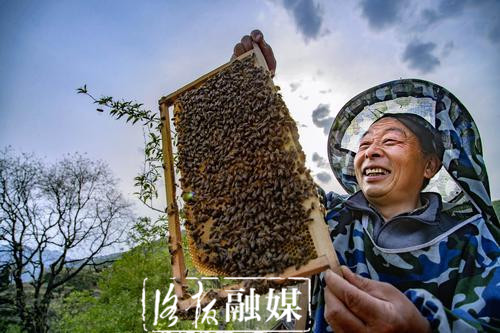 嵩县三合村:脱贫户“铁拐张”的生活“甜蜜蜜”