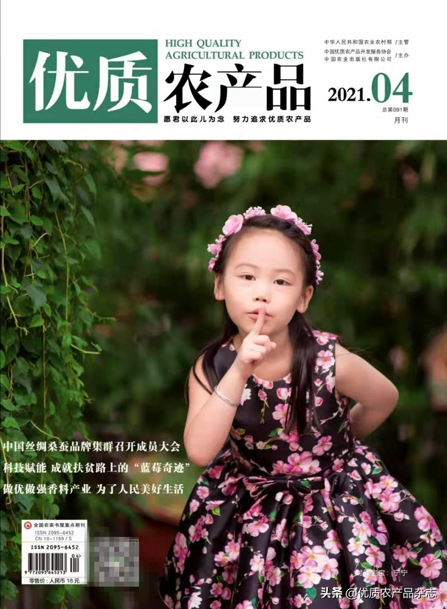 柑橘园水肥一体化,展示最新柑橘建园技术