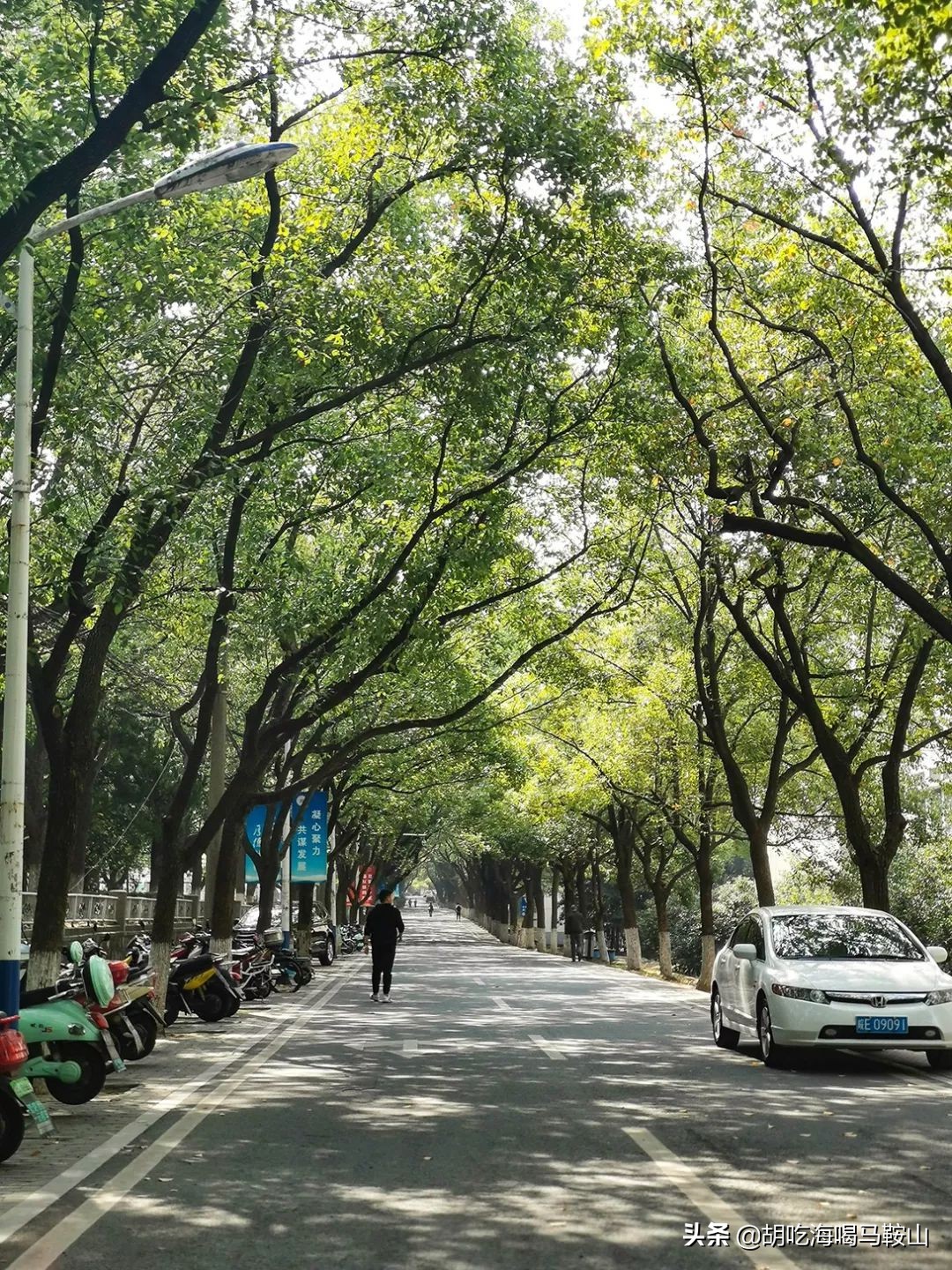 好吃的高逼格大学食堂,超好吃大学食堂
