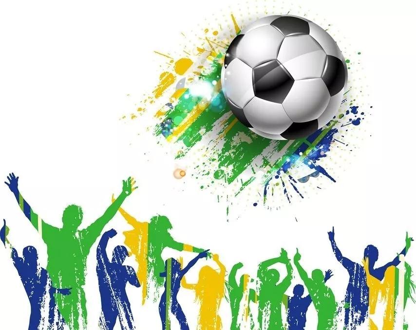 巴西联邦共和国(二)