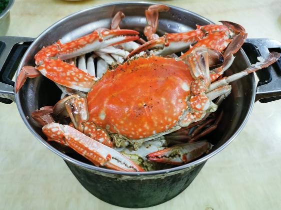 廉江龙营钓鱼视频,湛江市遂溪草潭码头钓鱼视频