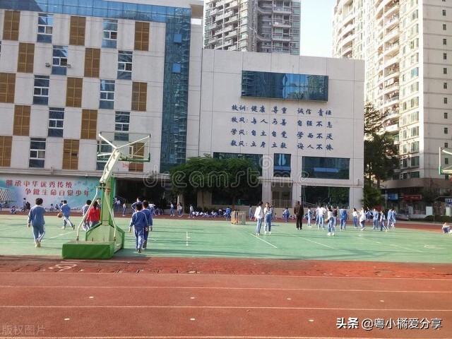深圳公办8所新学校,深圳11所扩建学校名单