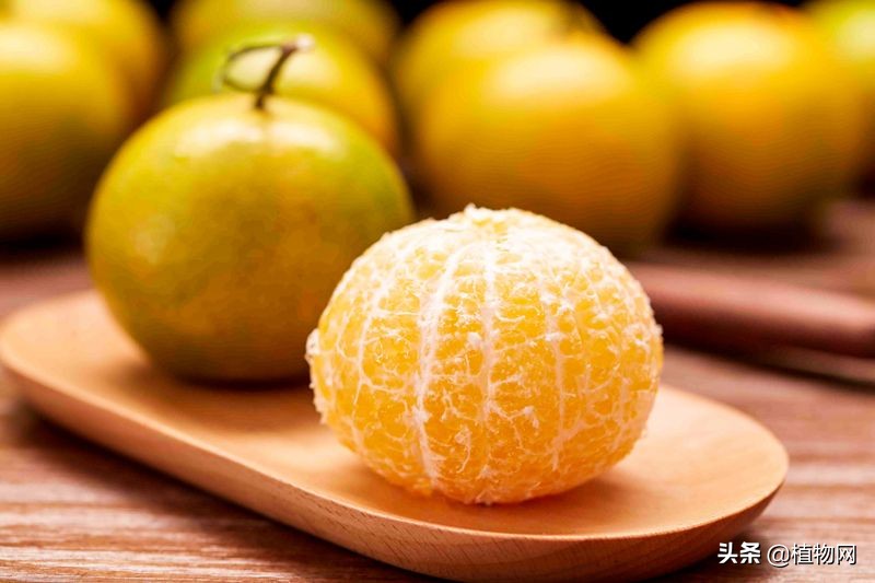柑橘太酸了怎么办,柑橘降酸