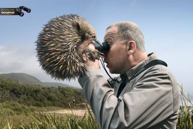 如何能写出一个生动有效的文案,教大家一个实用小技巧文案