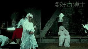 搞笑动图gif狗,搞笑动图gif猫咪