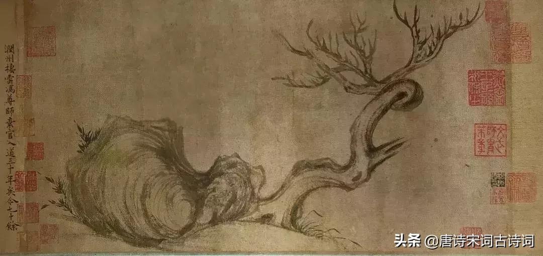 全才林徽因,全才范仲淹