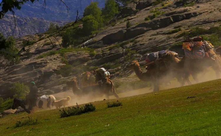 迁徙的家园，马背上的诗