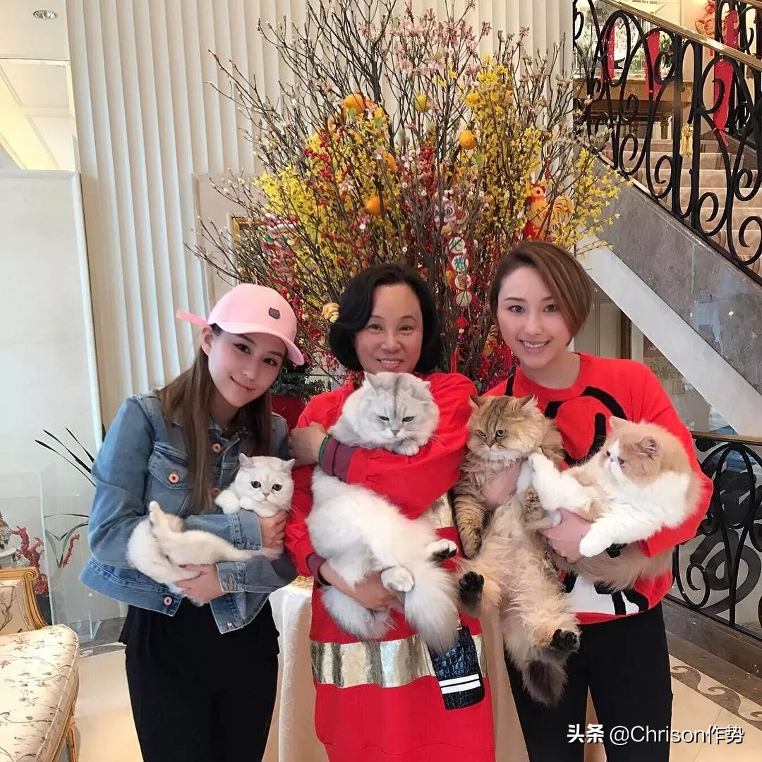 赌王的千金与公子们,赌王千金和歌星