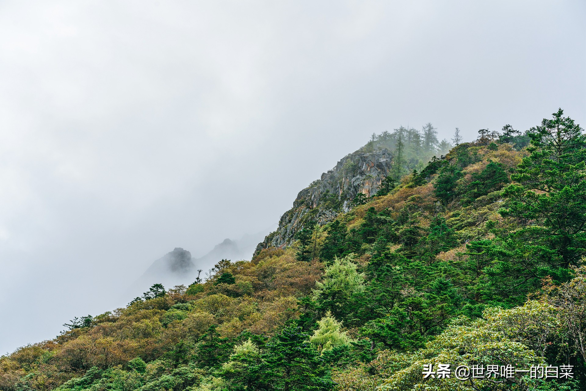 康定情歌川西旅游,318川西康定木格措