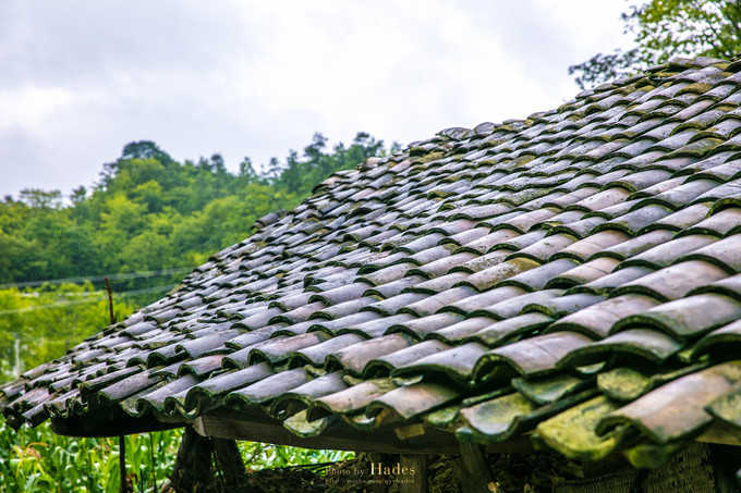 四川古蜀寻芳之幻梦朝天游玩攻略,都江堰古蜀寻芳