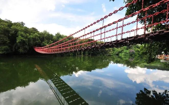 深圳花海公园地址在哪里,深圳中心河公园花海