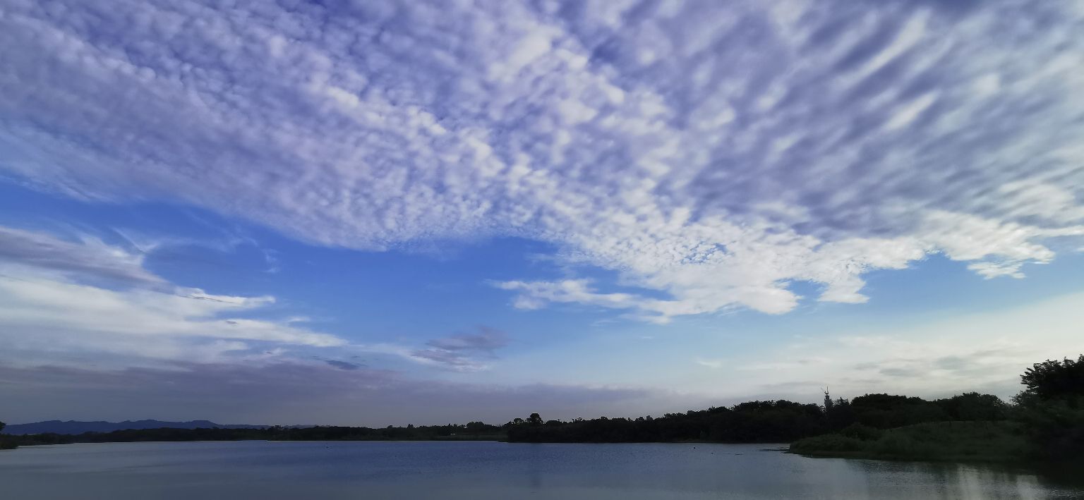 成都青龙湖公园门票,成都青龙湖公园地址