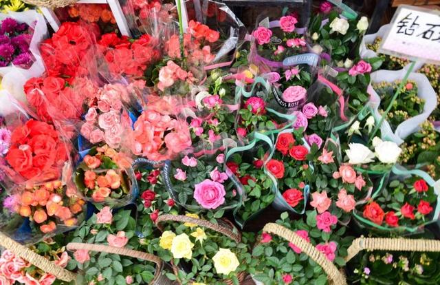 西安三桥附近哪里有花卉市场,西安北二环大明宫花卉市场地址