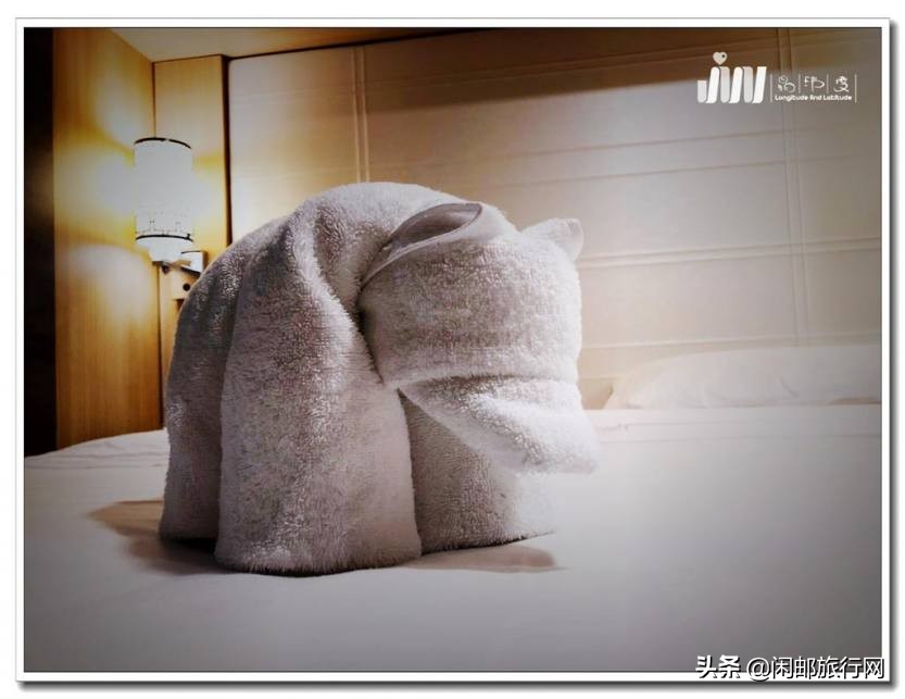 带上家人一起享受大自然的美,上海海洋光谱号旅游攻略