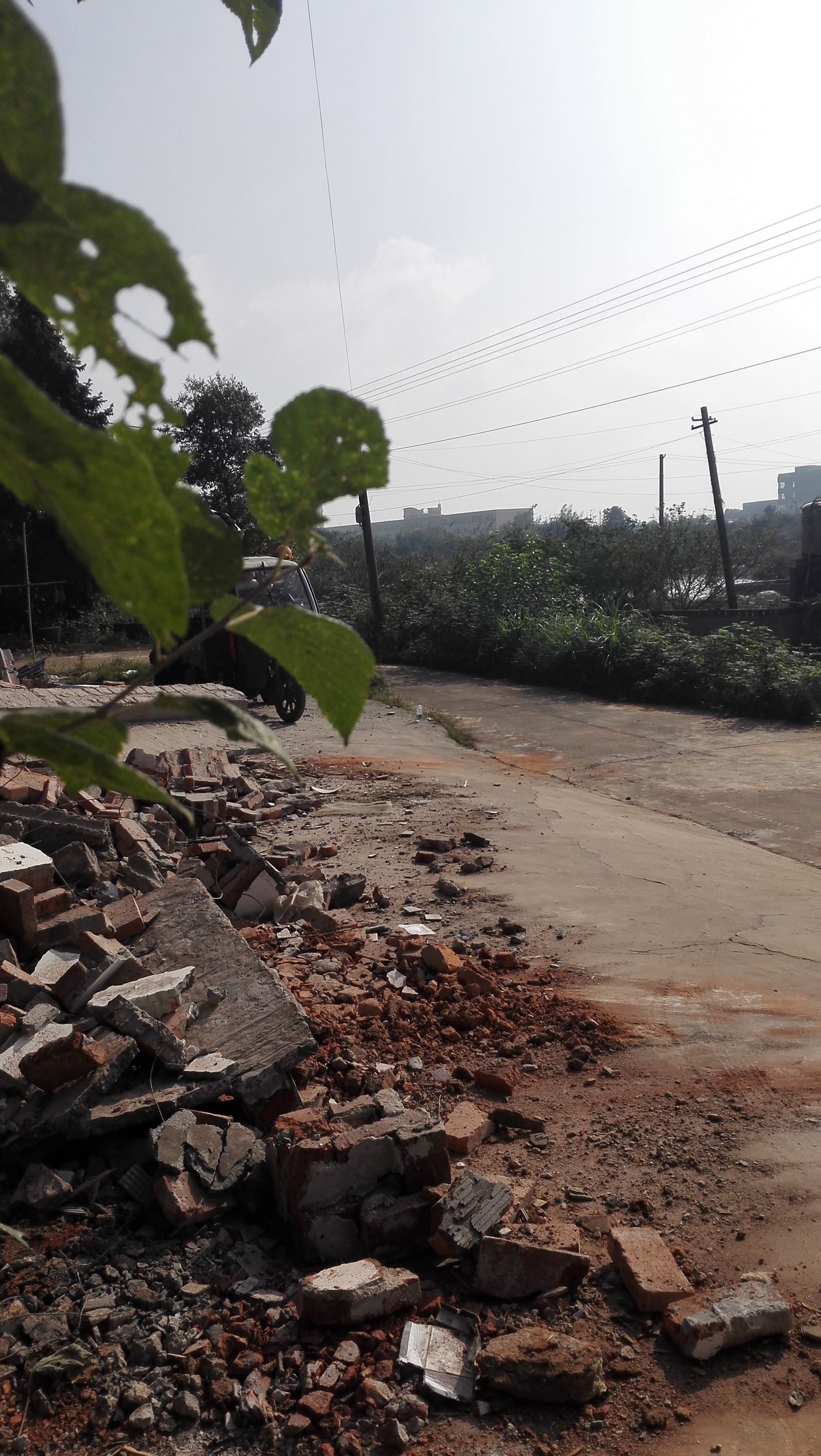 湖南最好的锦鲤养殖基地,湘潭锦鲤养殖