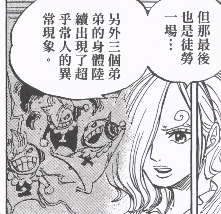 剧情分析海贼王,海贼王剧情解析最新