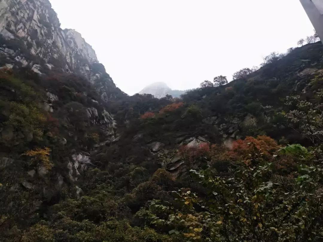 华山游记精选,华山游记风雪夜