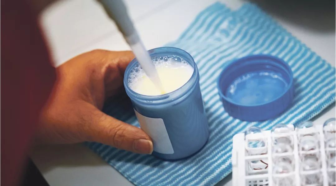 哪种蛋白质增肌效果好,如何有效合成蛋白质增肌