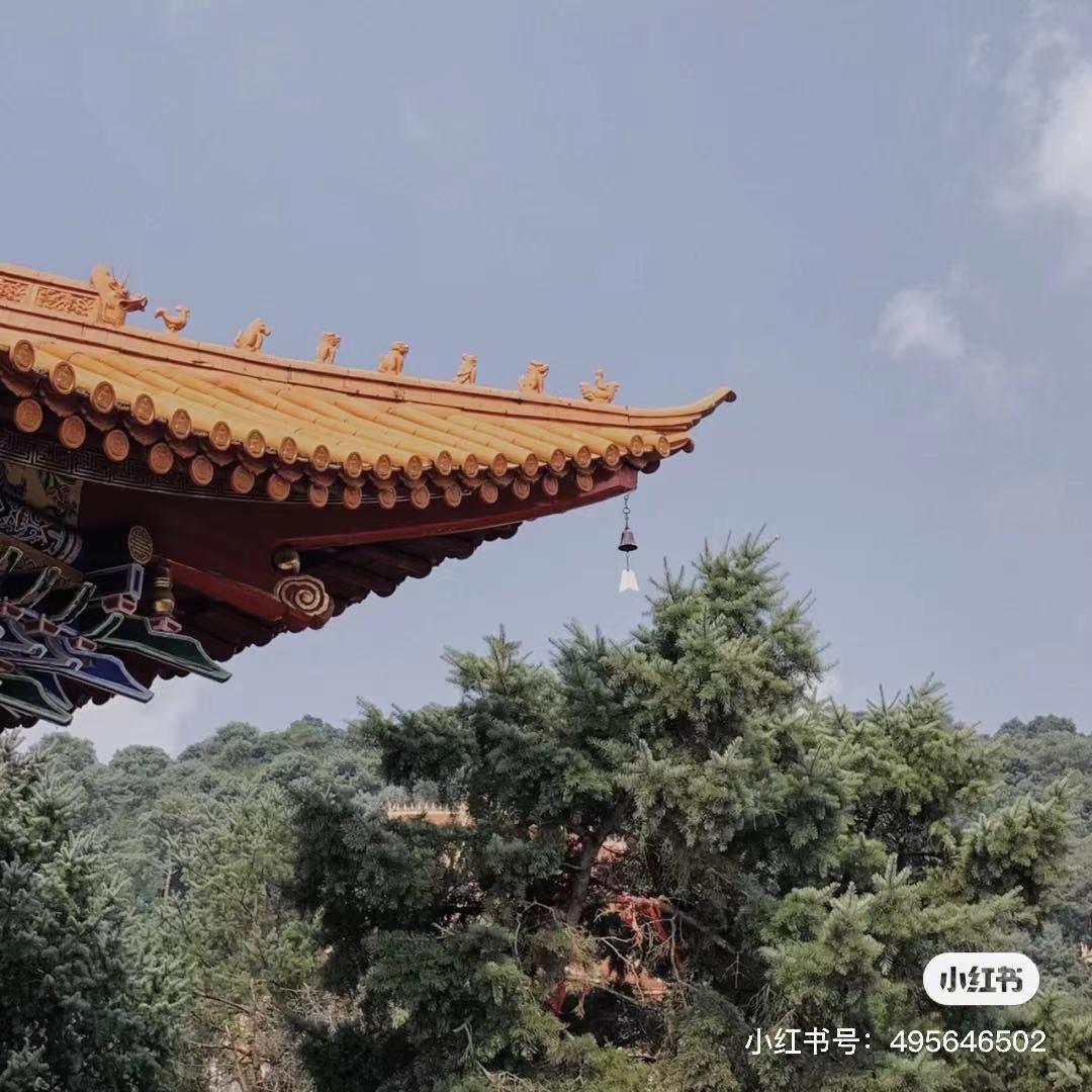 昆明避暑冷惨了外省人,昆明过冬真实感受