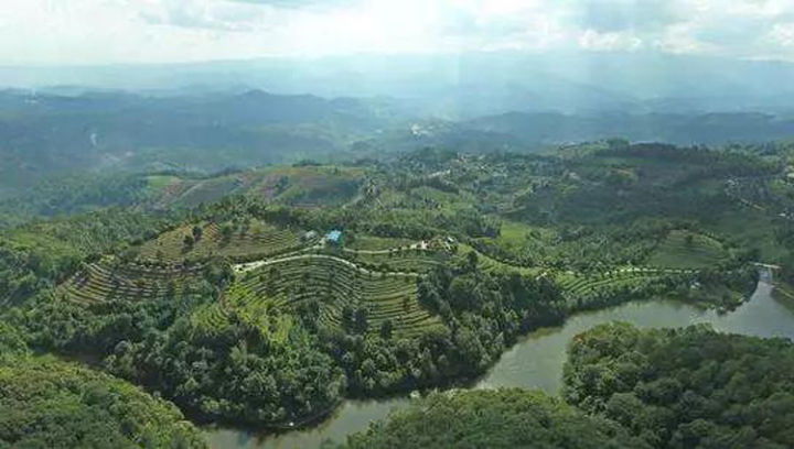 勐库十八寨茶区图,勐库茶十八寨排名