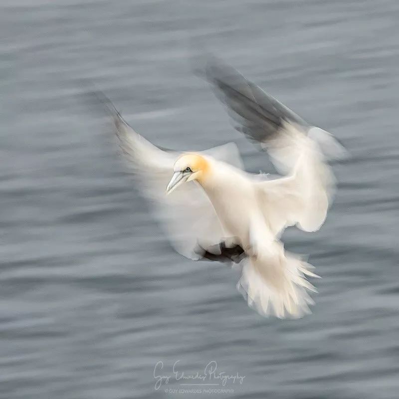 为什么快门速度高拍照黑,为什么拍照一按快门就模糊