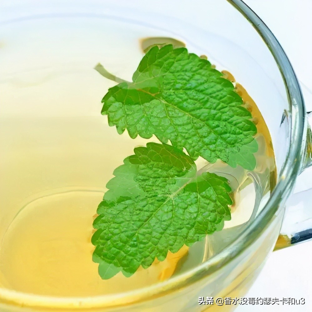 夏日小*香众**水推荐，清爽不易撞向