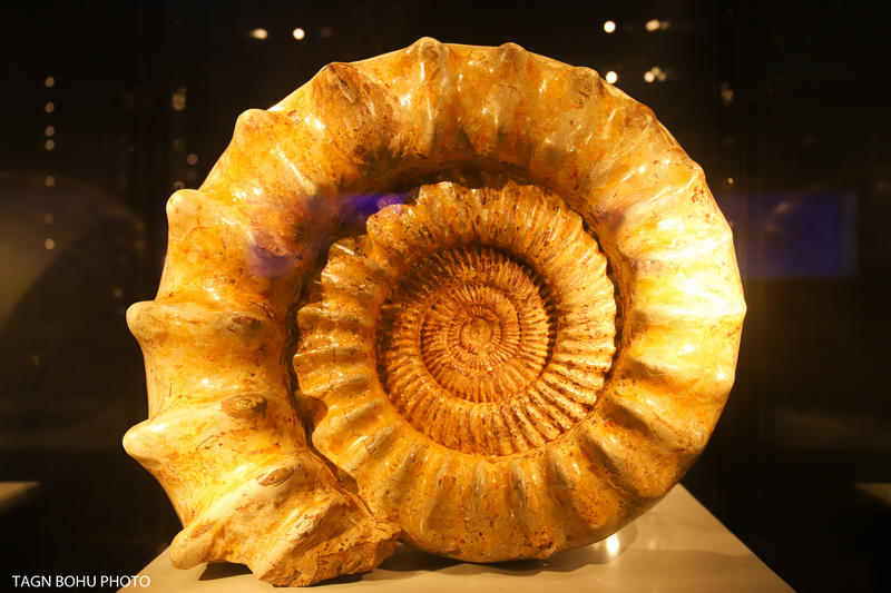 衢州飞越丛林探险乐园,浙江衢州深山