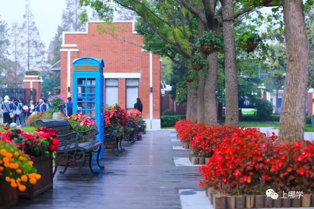 上海最好的十大民办初中,上海各区的顶级初中和一流初中