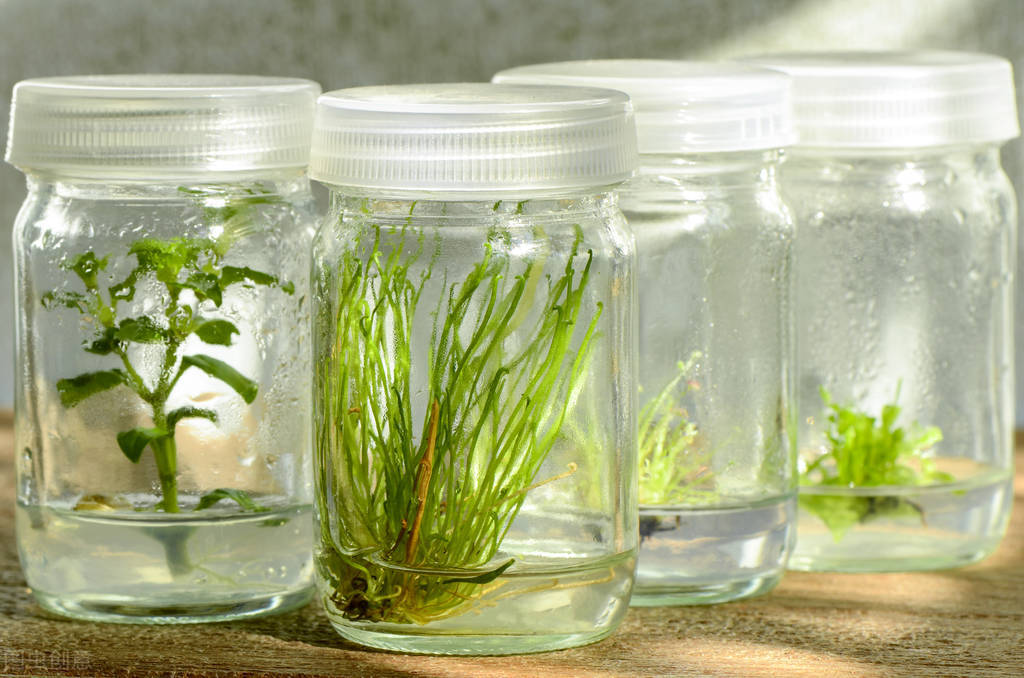 遇到饥荒怎么办,有人面临饥荒怎么办