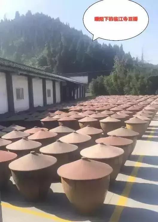 资阳这二十年的变化,2012资阳发展前景