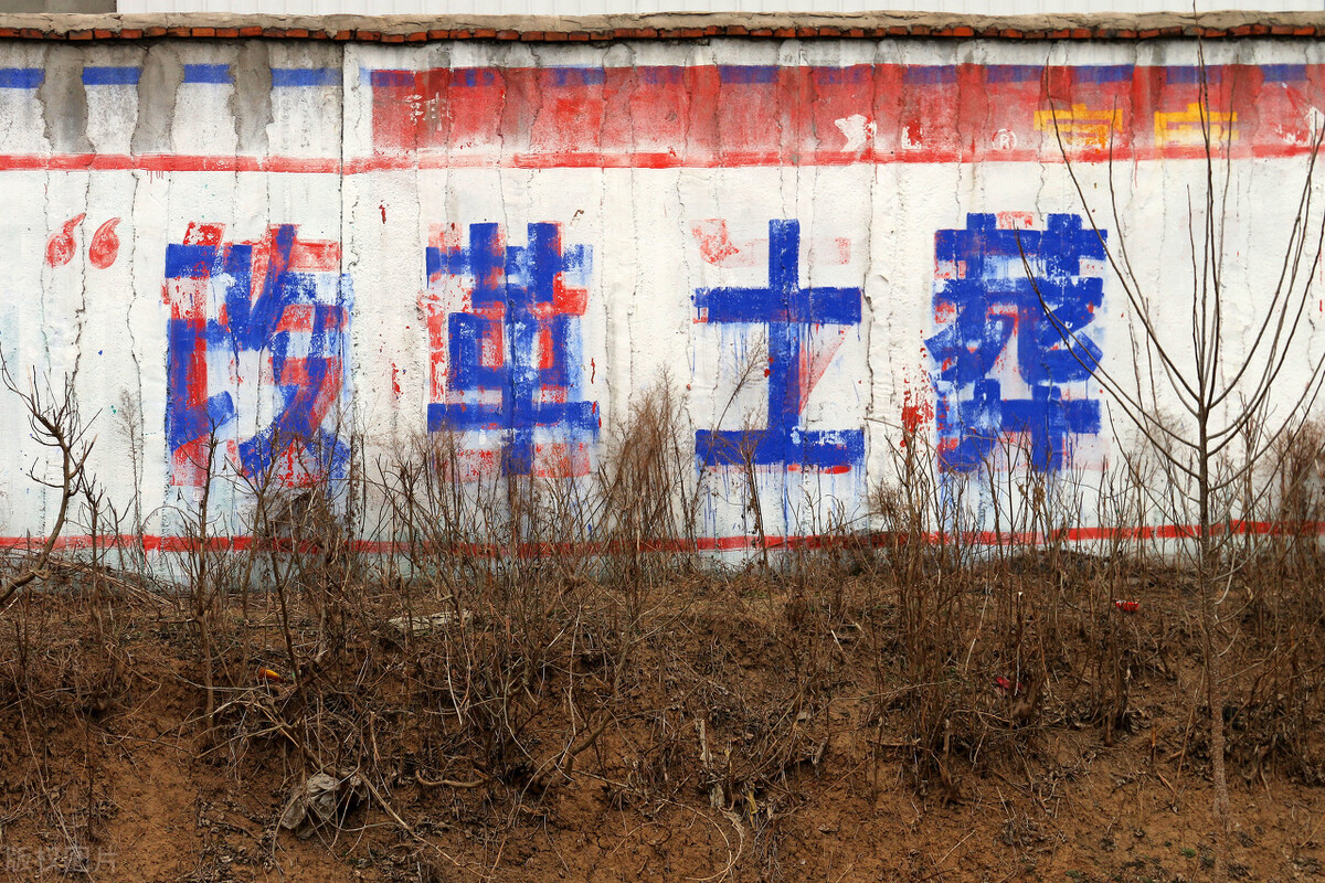 农村丧葬改革最新方法,农村葬礼改革了吗