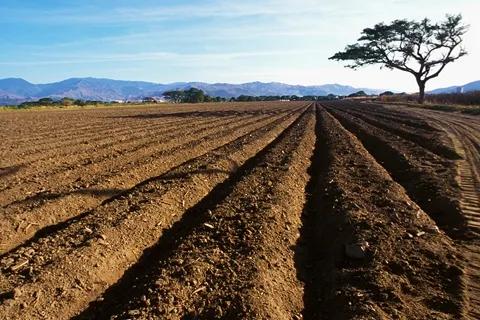 城镇化后农村的土地,农村城市化土地归谁所有