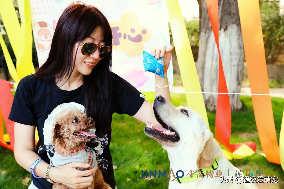 金茂广场萌宠生活节,金茂物业活动