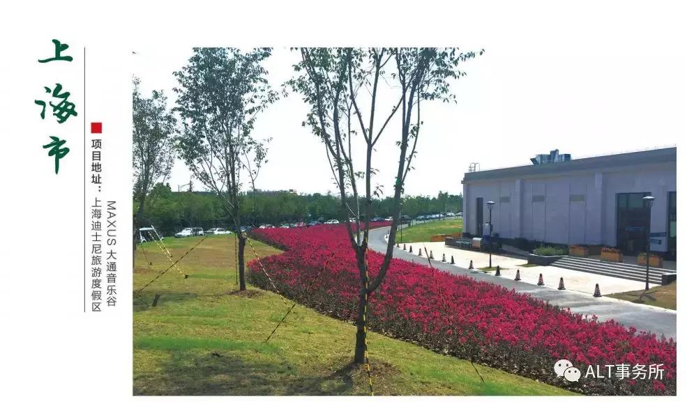 天鹅绒紫薇花烂漫,花争艳