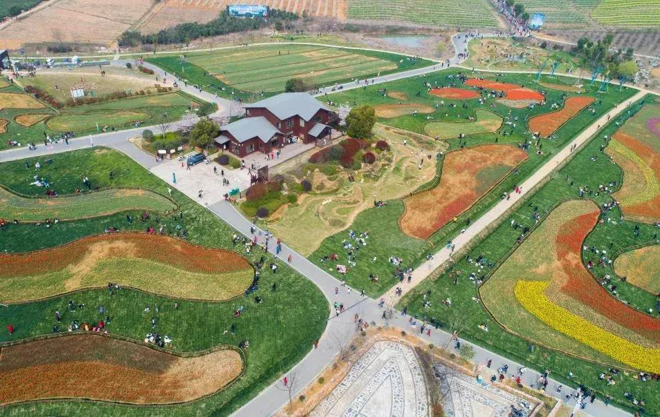 合肥六一去哪玩附近,合肥遛娃好去处六七岁孩子