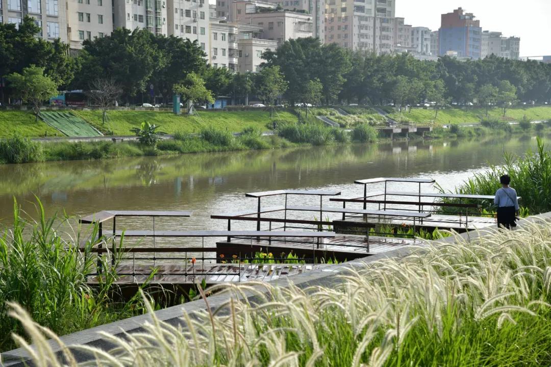 蝶变茅洲河，遇见城之美/同济设计TJAD