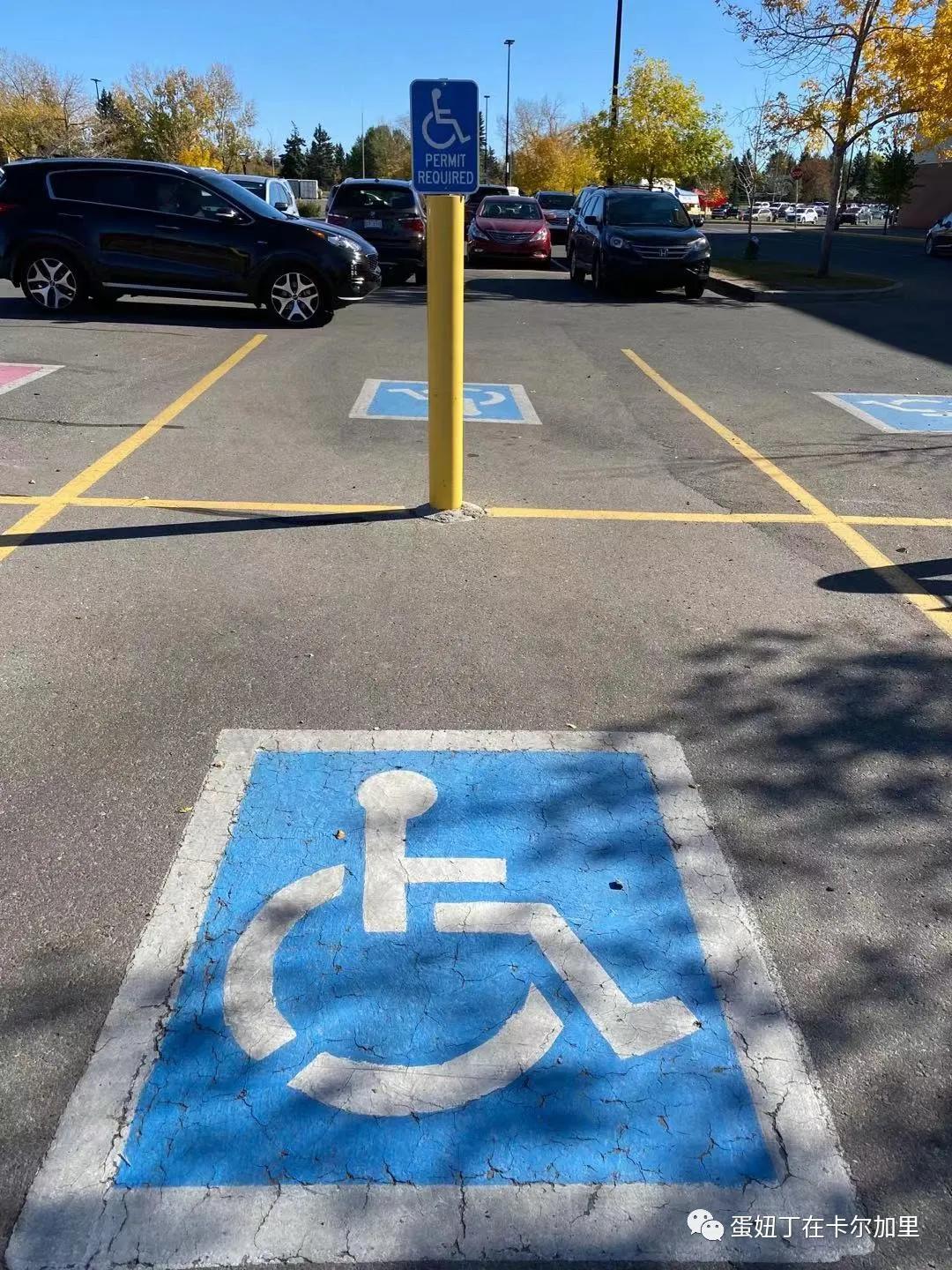 老司机谈开车,老司机聊车大全