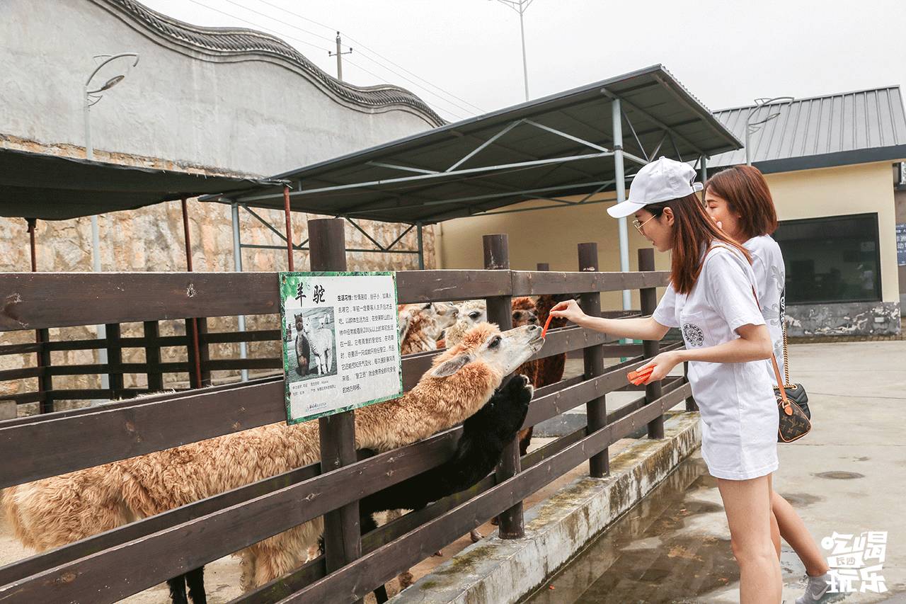 长沙靖港古镇与乔口古镇哪个好玩,乔口古镇有什么好玩的