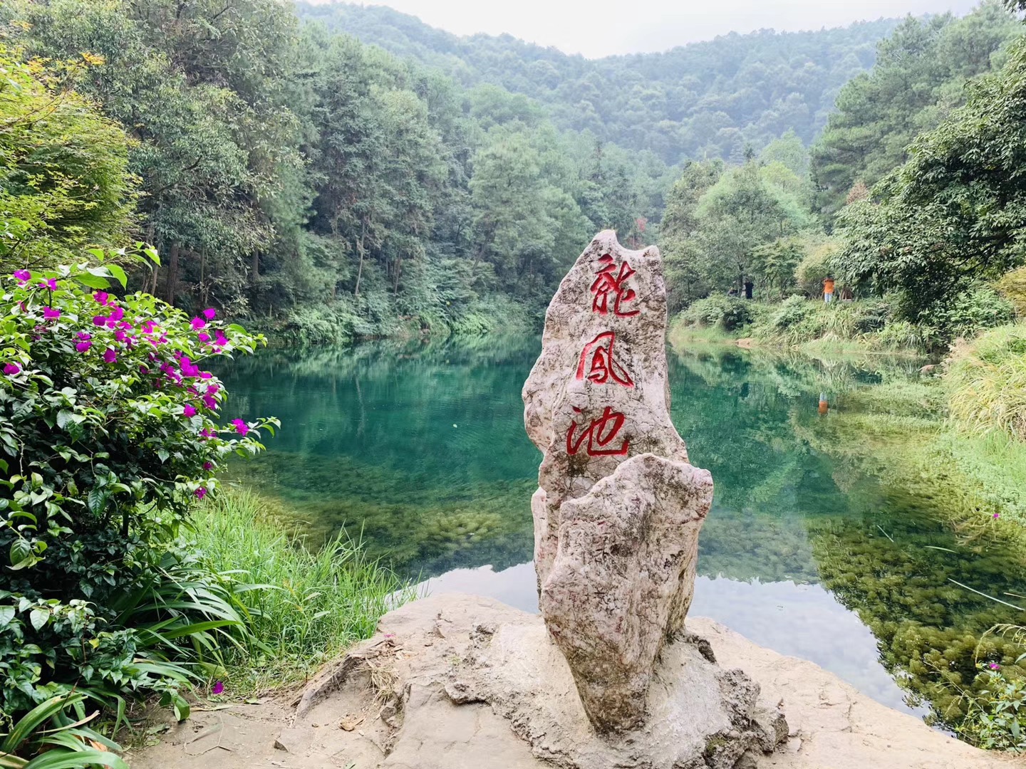 重庆落日下午茶推荐,重庆下午茶推荐观音桥