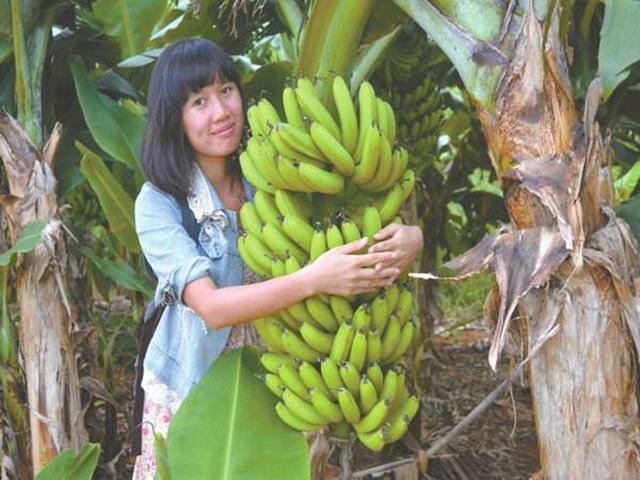 桂林阳朔惊艳风景,桂林阳朔十大旅游景点