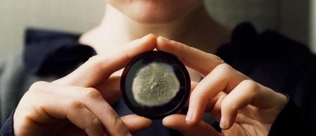 用疟疾治疗梅毒,一名精神科医生的故事