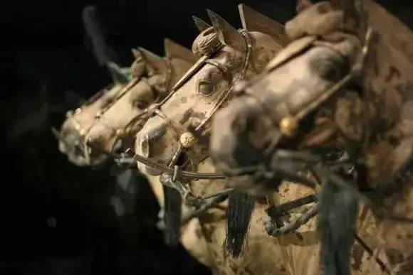 这64件*物文**永久禁止出境展览