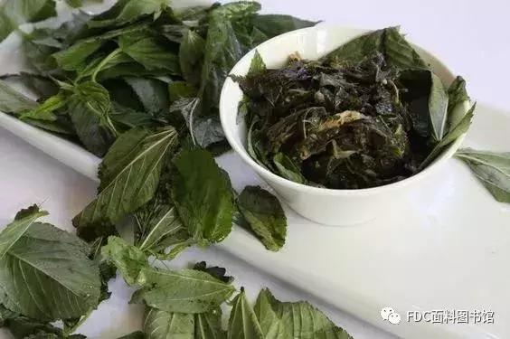 能用来制作面料的植物知多少？（下）