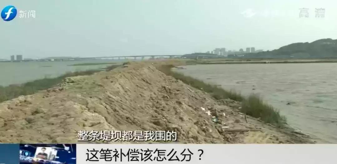 闹心|眼看快收成了,却遇上了麻烦事!这笔清退补偿究竟该怎么分?