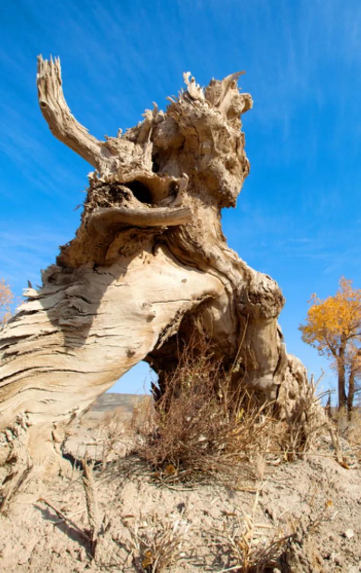 看看*疆新**哈密伊吾值不值得你去？,1