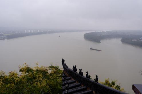 常回家看看！2020年，上海湘菜餐饮人再出发的“192小时”