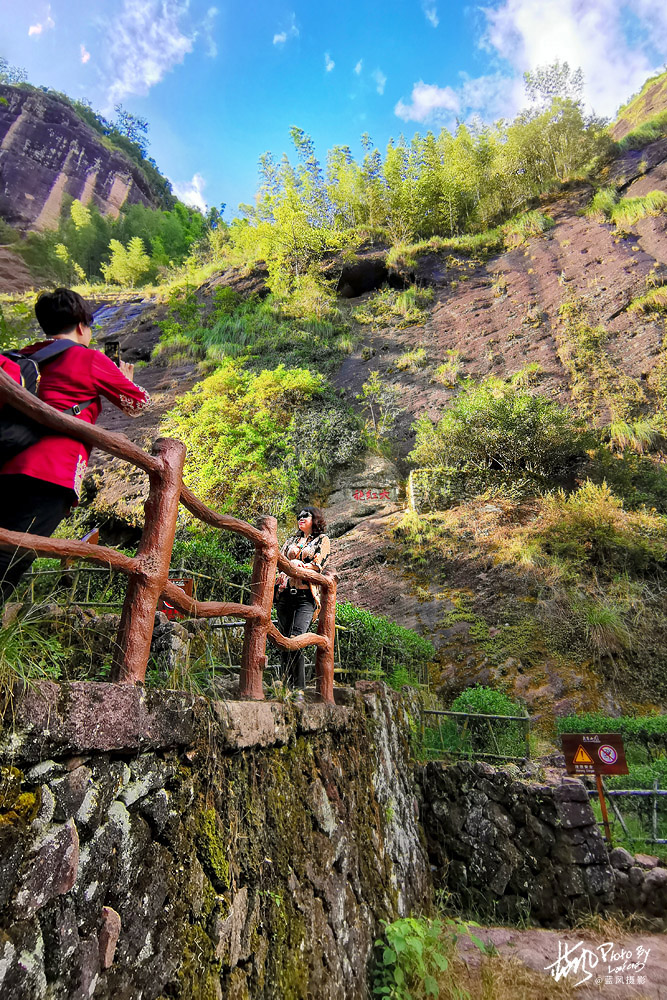 每克卖一万，这几株岩壁上的大红袍茶树，堪称武夷山的镇山之宝